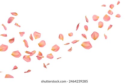 韩国免费A级毛片