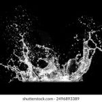 亚洲日本在线一区二区三区 2yn705