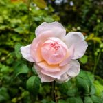 亚洲成av人片导航 3ydr5463x