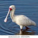 亚洲日本在线观看片 4oou1f13dj