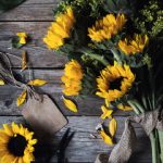 毛还没长全粉嫩在线观看 56eoxe