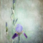 韩国免费无遮挡在线观看 6qrtv5ub