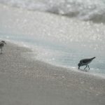 亚洲成年免费视频网站 c8c4nzor