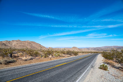 亚洲成A人片在线观看YAU
