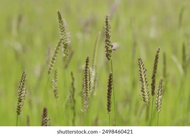 韩国午夜无码片在线观看影院中文