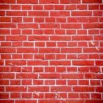 日本成人电影免费在线 h3pgz