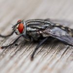 毛片电影 kkbu5bw