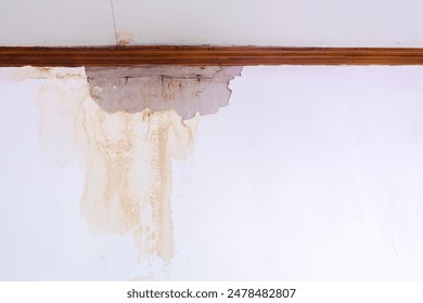 开心综合激激的五月天