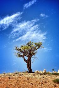 网站你懂我意思吧贴吧