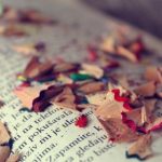 每日更新av网站 psr81tayg