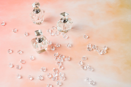 sbudx:探索新兴科技在未来生活中的应用与影响