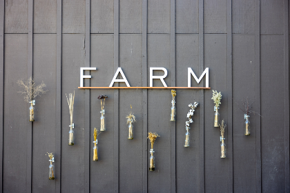 yw1933.com inc：探索创新科技与商业发展的新机遇