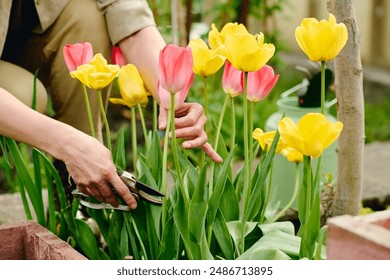 sbn network jimmy swaggart：探索吉米·斯瓦格特的信仰之旅与电视传播影响